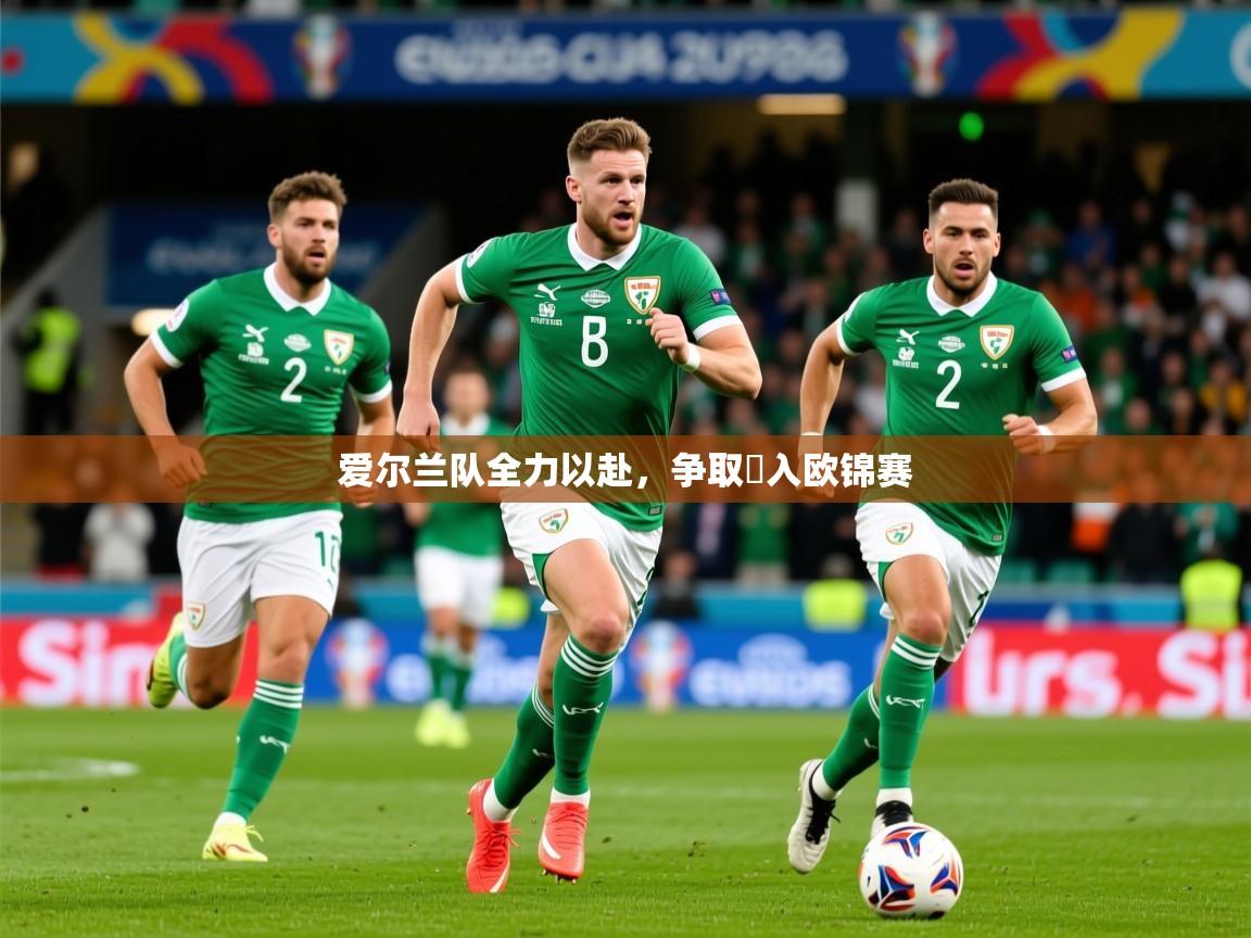 2025华体会体育爱尔兰队全力以赴，争取進入欧锦赛