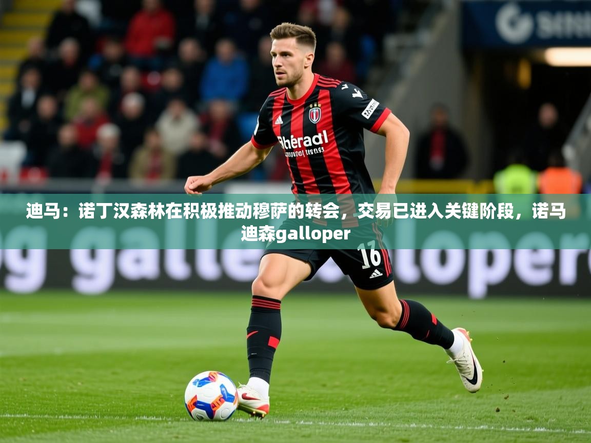 2025华体会体育下载迪马:诺丁汉森林在积极推动穆萨的转会,交易已进入关键阶段,诺马迪森galloper 第1张