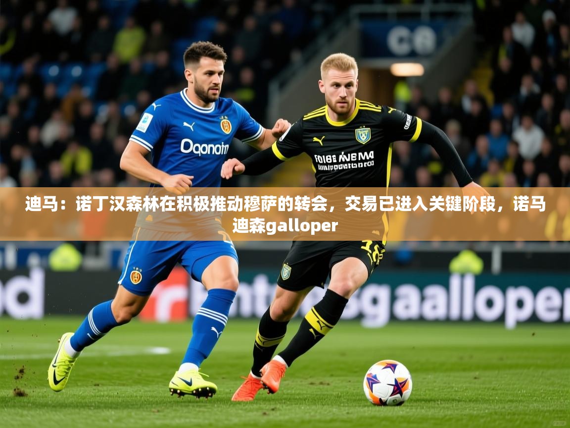 2025华体会体育下载迪马:诺丁汉森林在积极推动穆萨的转会,交易已进入关键阶段,诺马迪森galloper 第3张