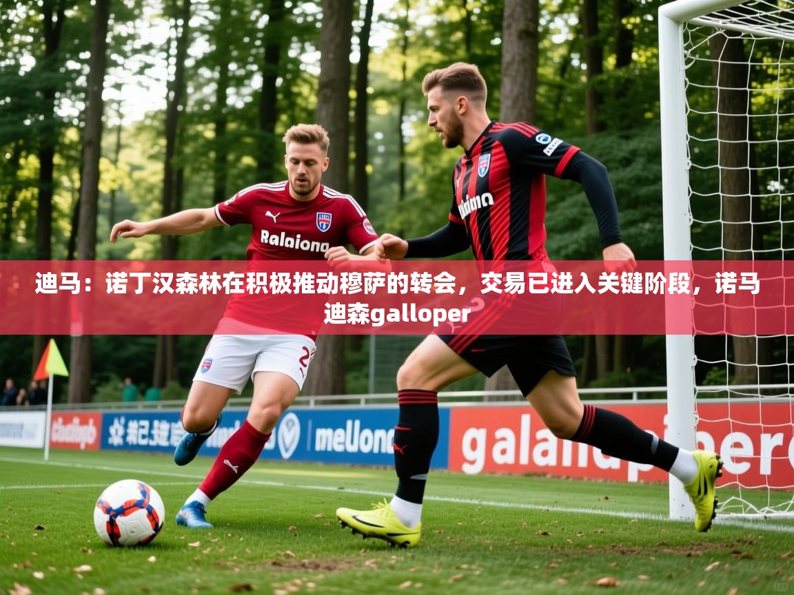 2025华体会体育下载迪马:诺丁汉森林在积极推动穆萨的转会,交易已进入关键阶段,诺马迪森galloper 第4张